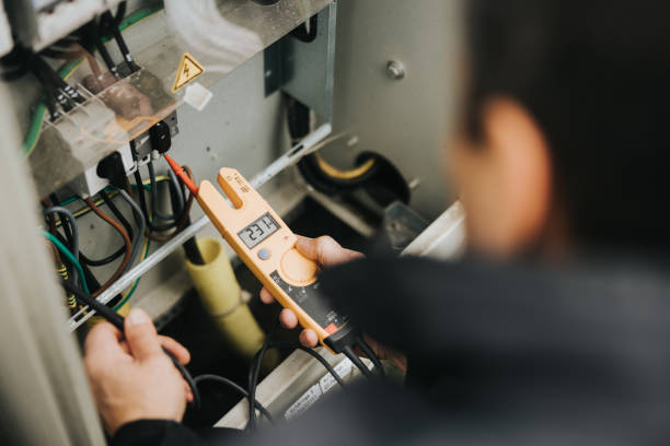 Best Licensed Electrician  in Laguna Heights, TX